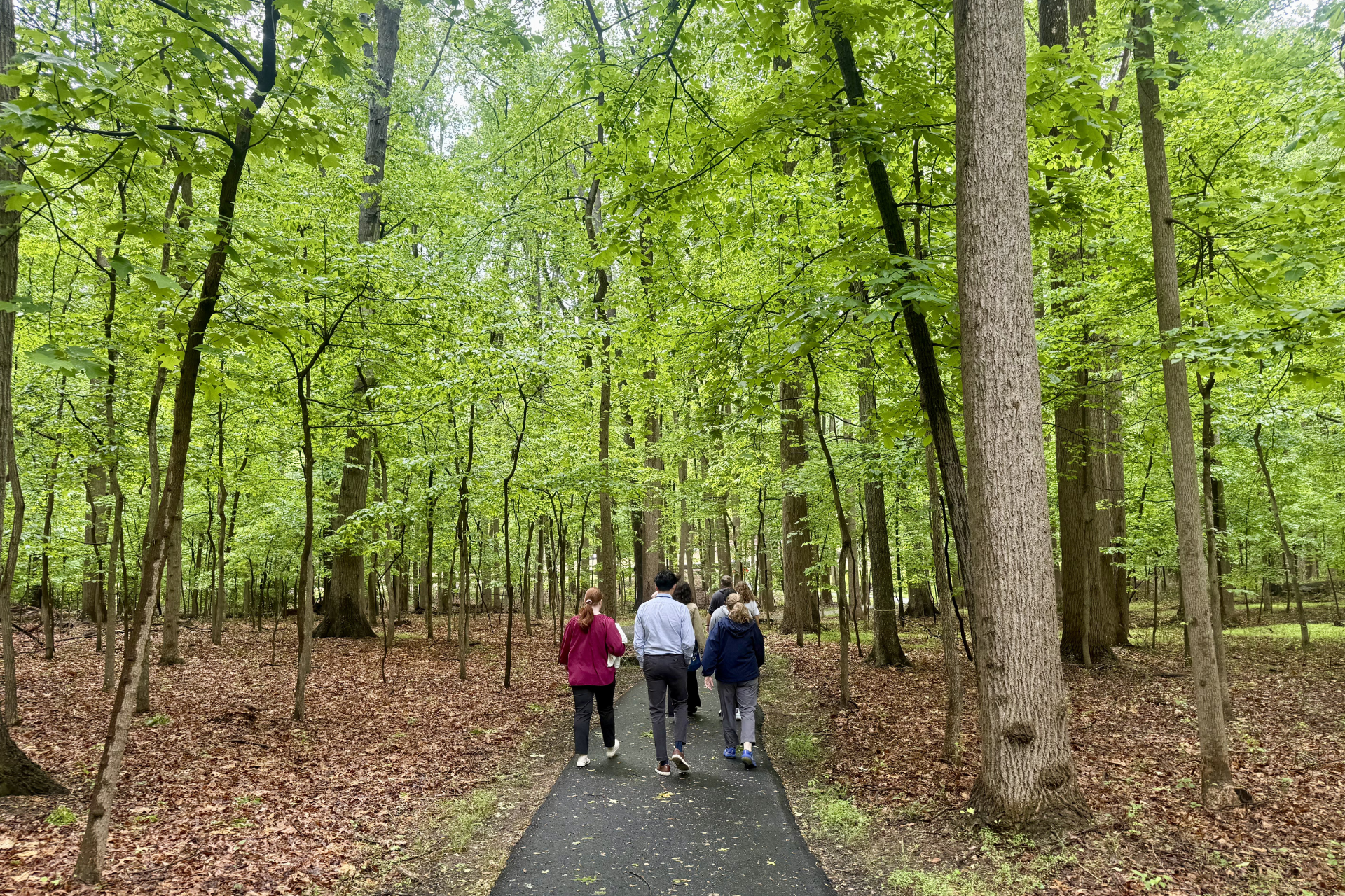 3 people walk on the UVA northern Virginia campus trails.